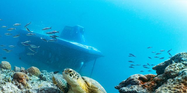 Submarine underwater trip (11)